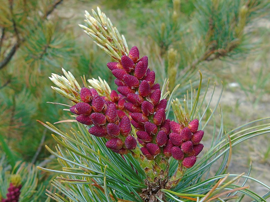 Исток ангары озеро Байкал