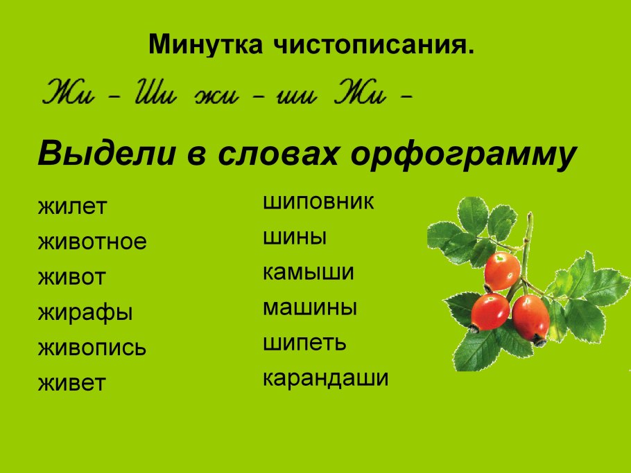 Шиповник проверочное слово
