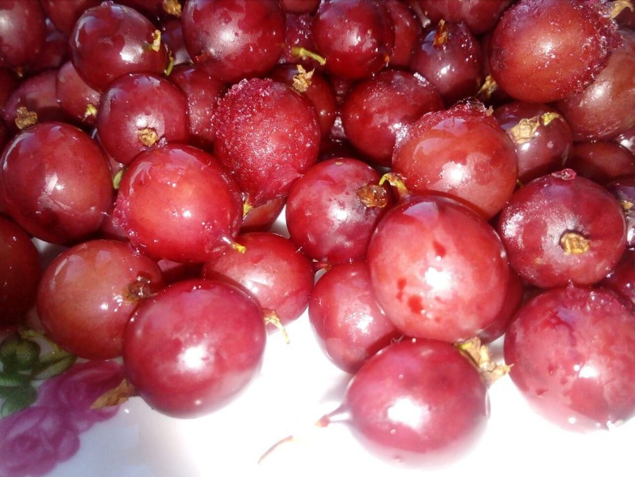 Плод крыжовника