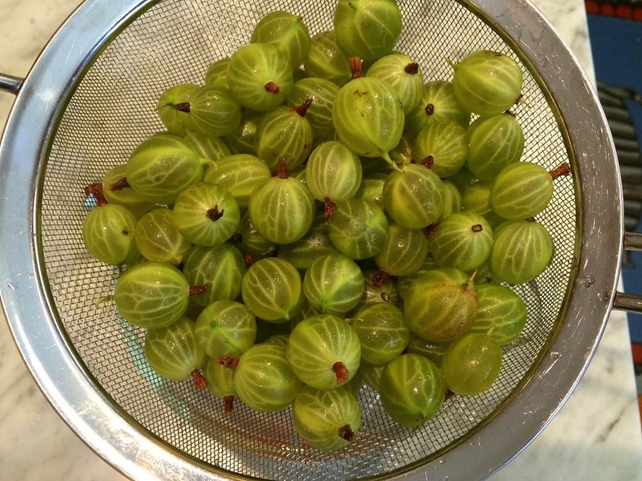 Агрус крыжовник