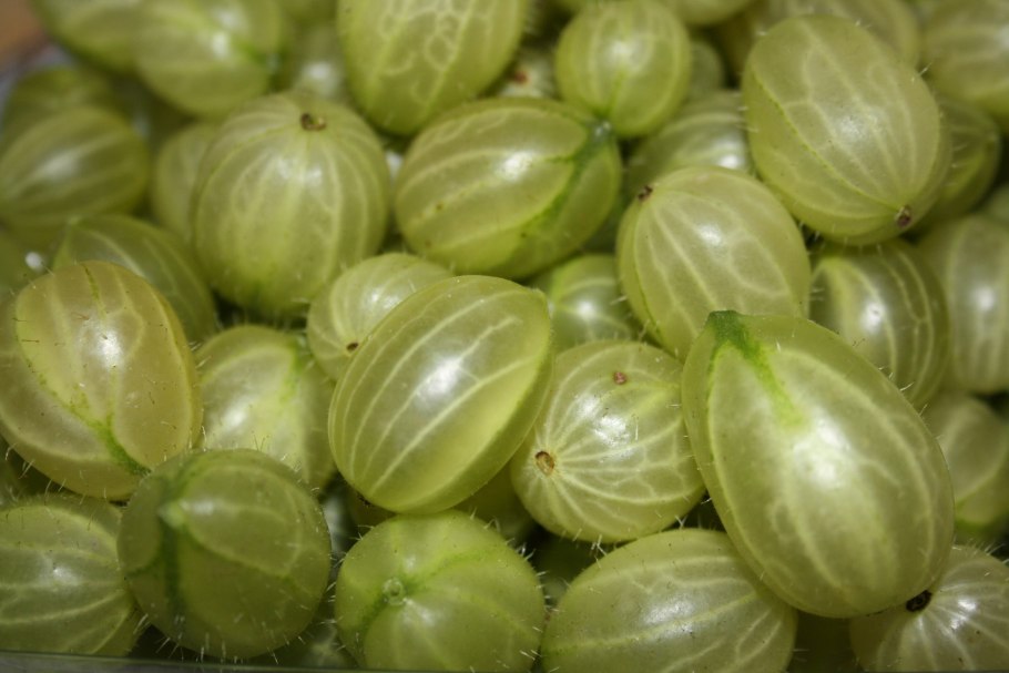 Желтый крыжовник на веточке