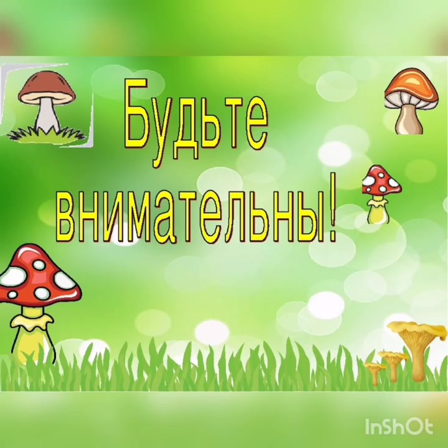 Съедобные и несъедобные грибы презентация