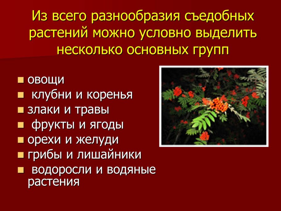 Съедобные и ядовитые растения