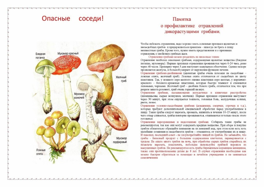 Памятка по предупреждению отравления грибами