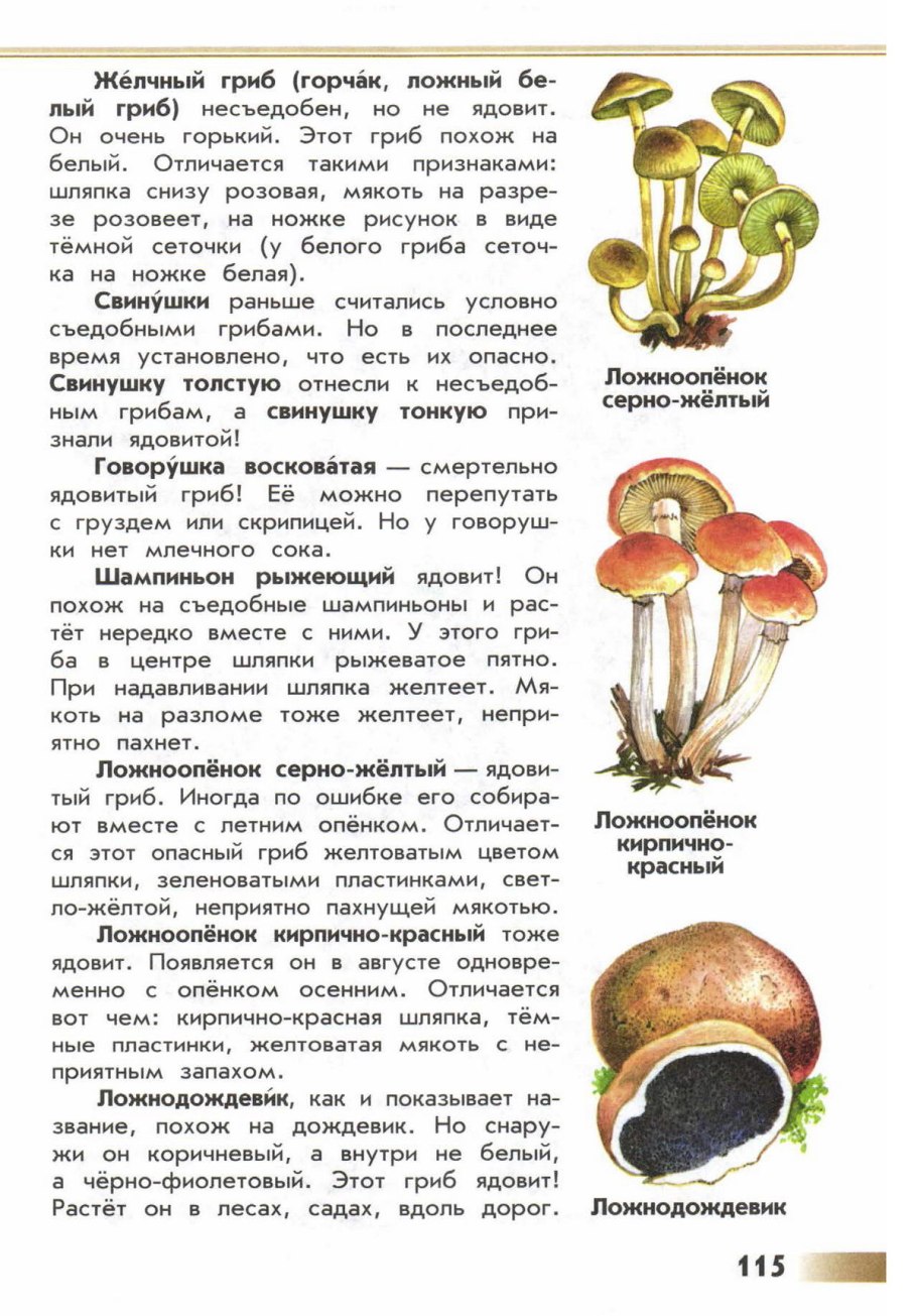 Ядовитые грибы 3 класс окружающий мир атлас определитель