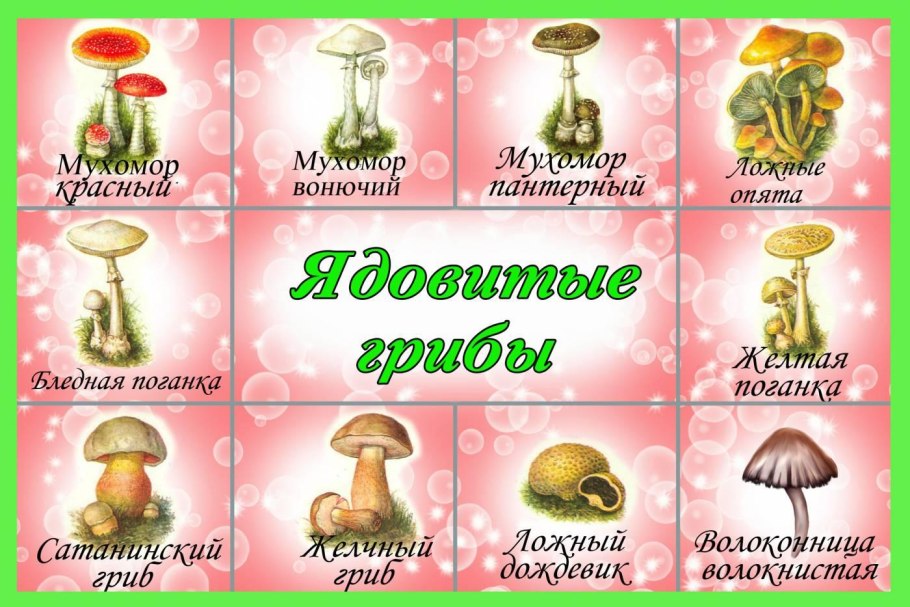 Карточки для игры съедобный несъедобный гриб