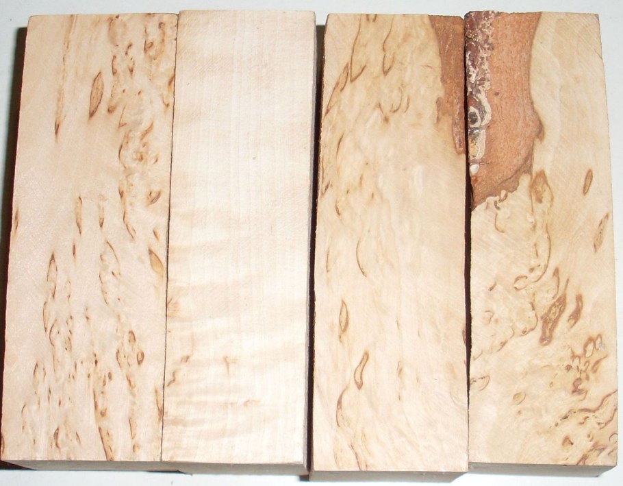 Береза повислая Фармакогнозия