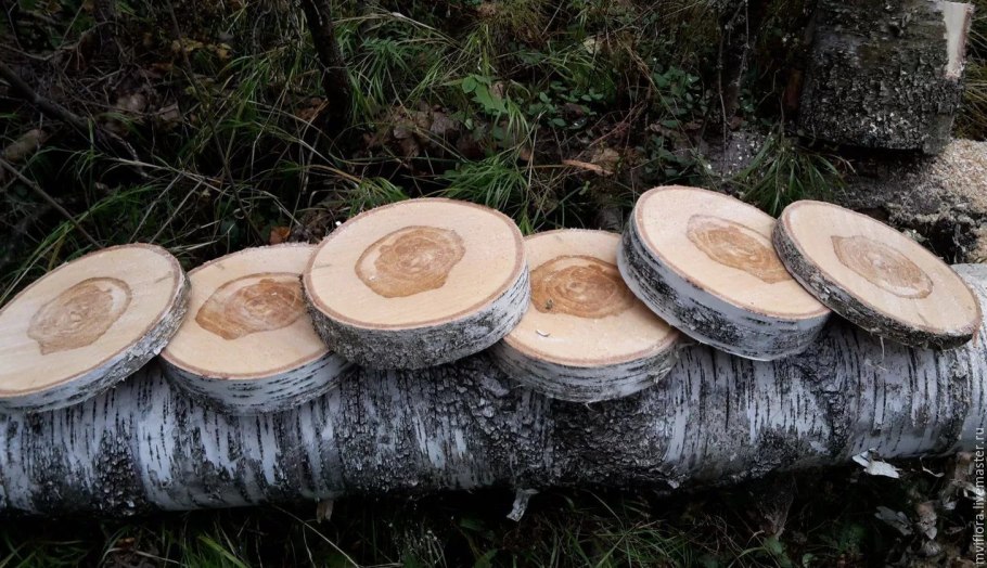 Субальпийское Березовое криволесье