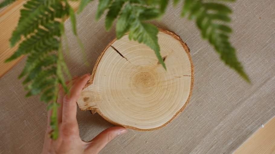 Антураж береза повислая