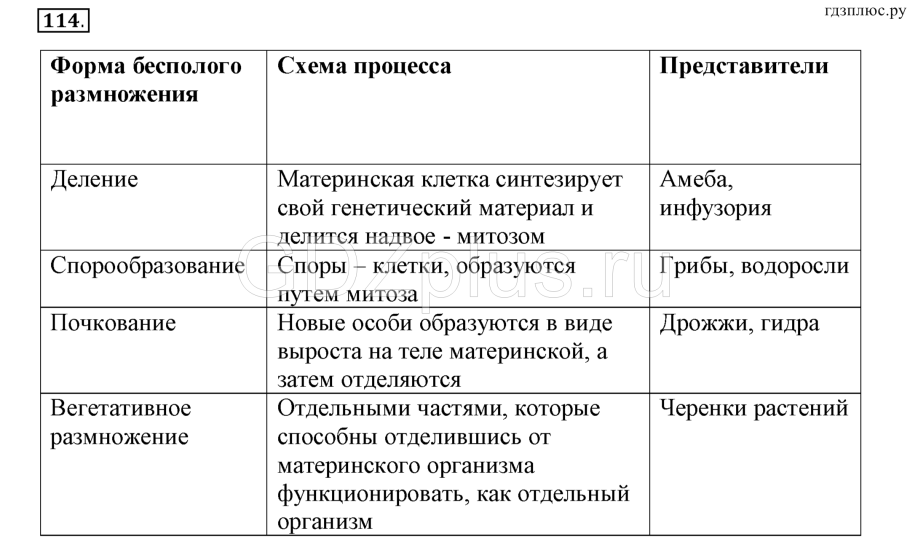 Способы размножения растений 6 класс