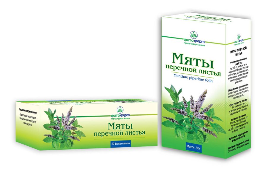 Мята перечная листорасположение