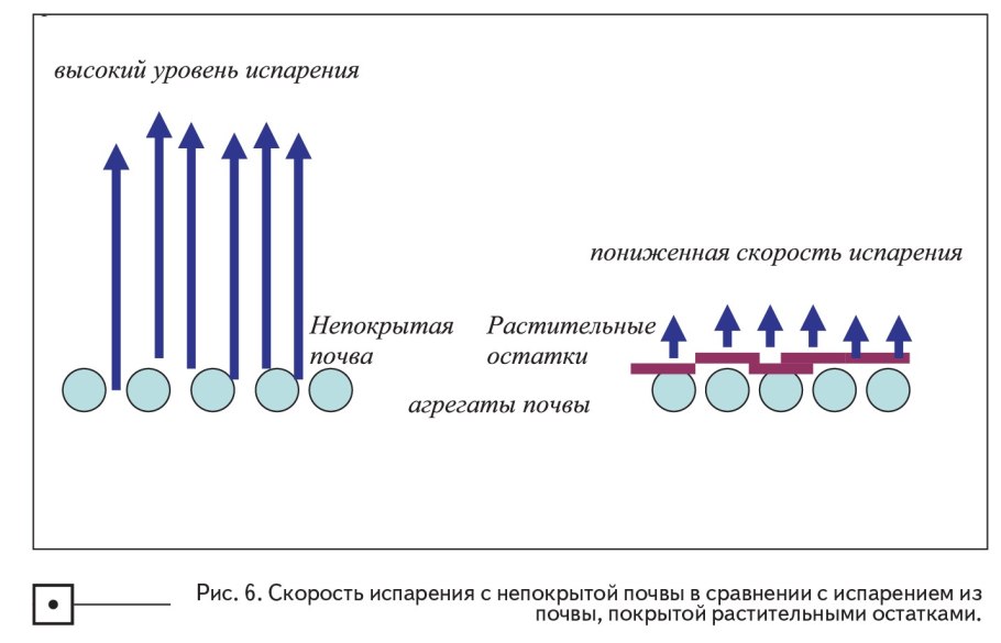 Испарение влаги с поверхности почвы