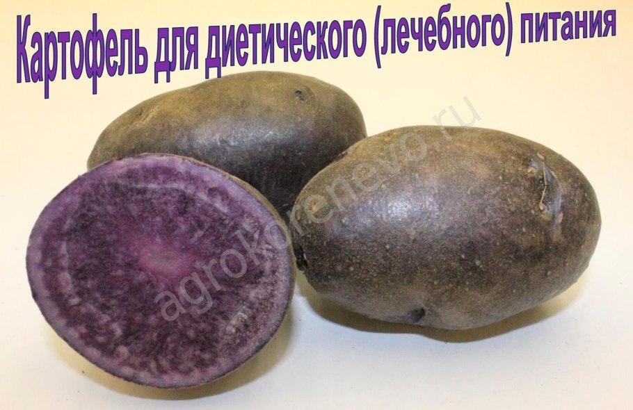 Семенной картофель ред Скарлет