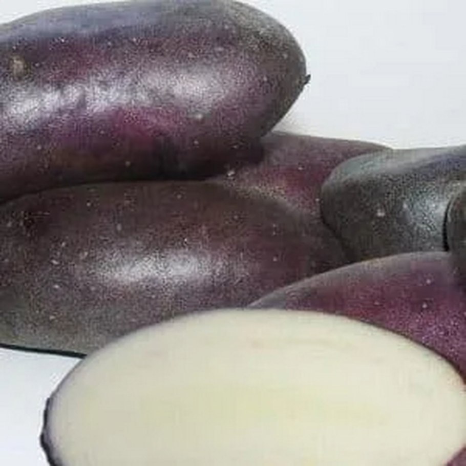 Сорт картофеля Джоконда