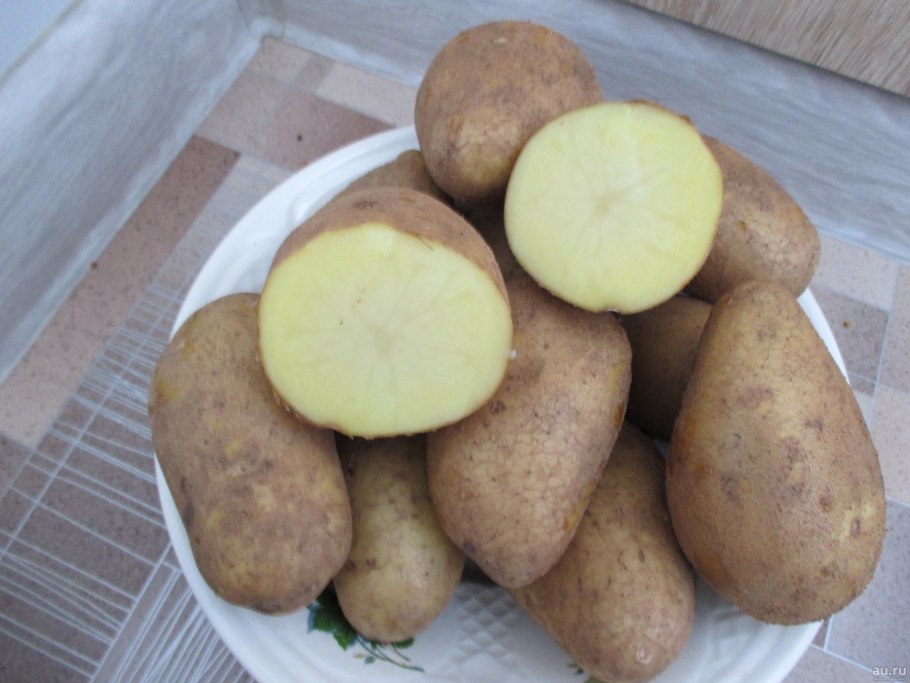 Картофель Блю Белле