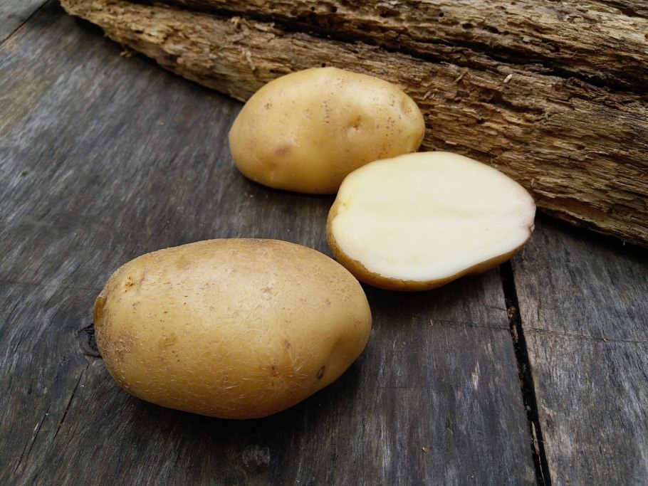 Клубень картофеля