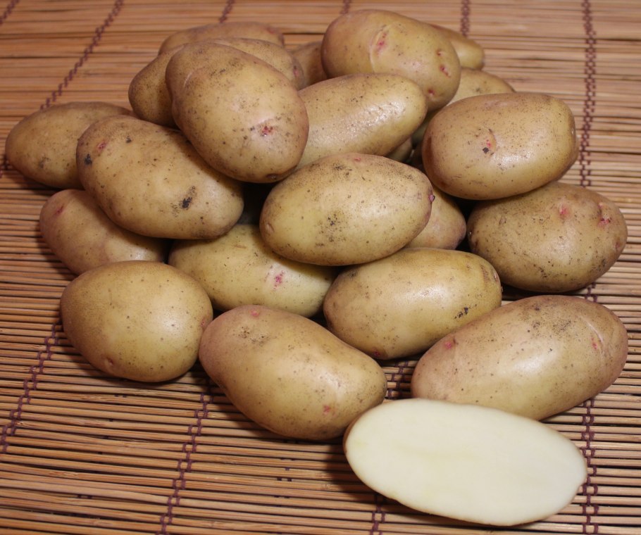 Сорт картофеля Наяда