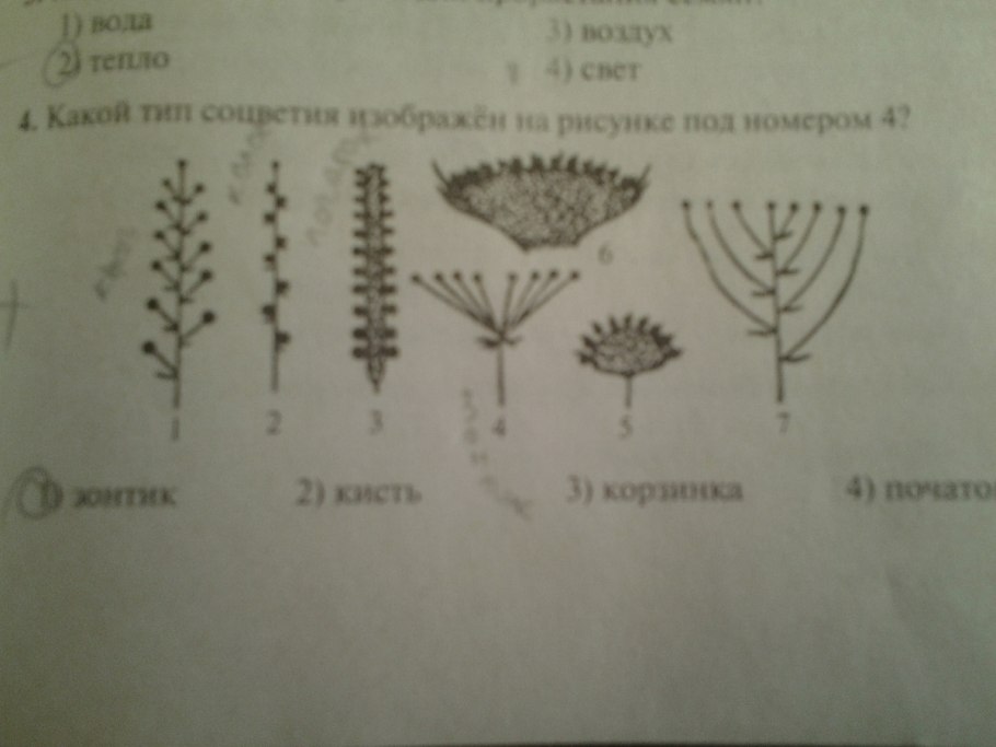 Крючки Gamakatsu Hook LS-1810b