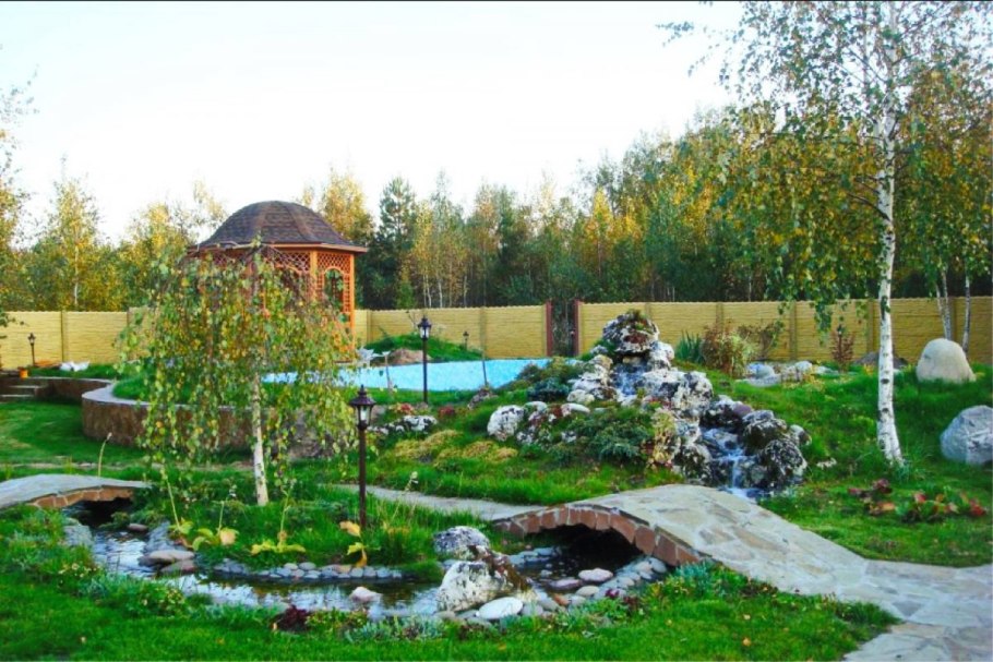 Карликовая береза Алтай