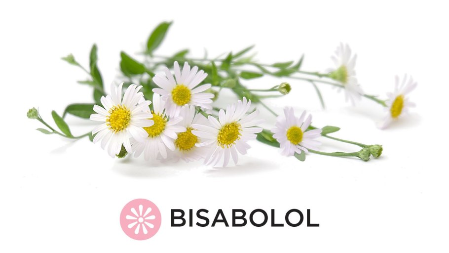 Ромашка на белом фоне