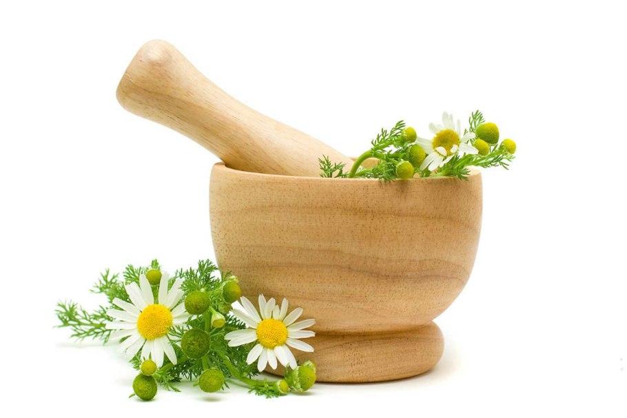 Лекарственные травы на белом фоне