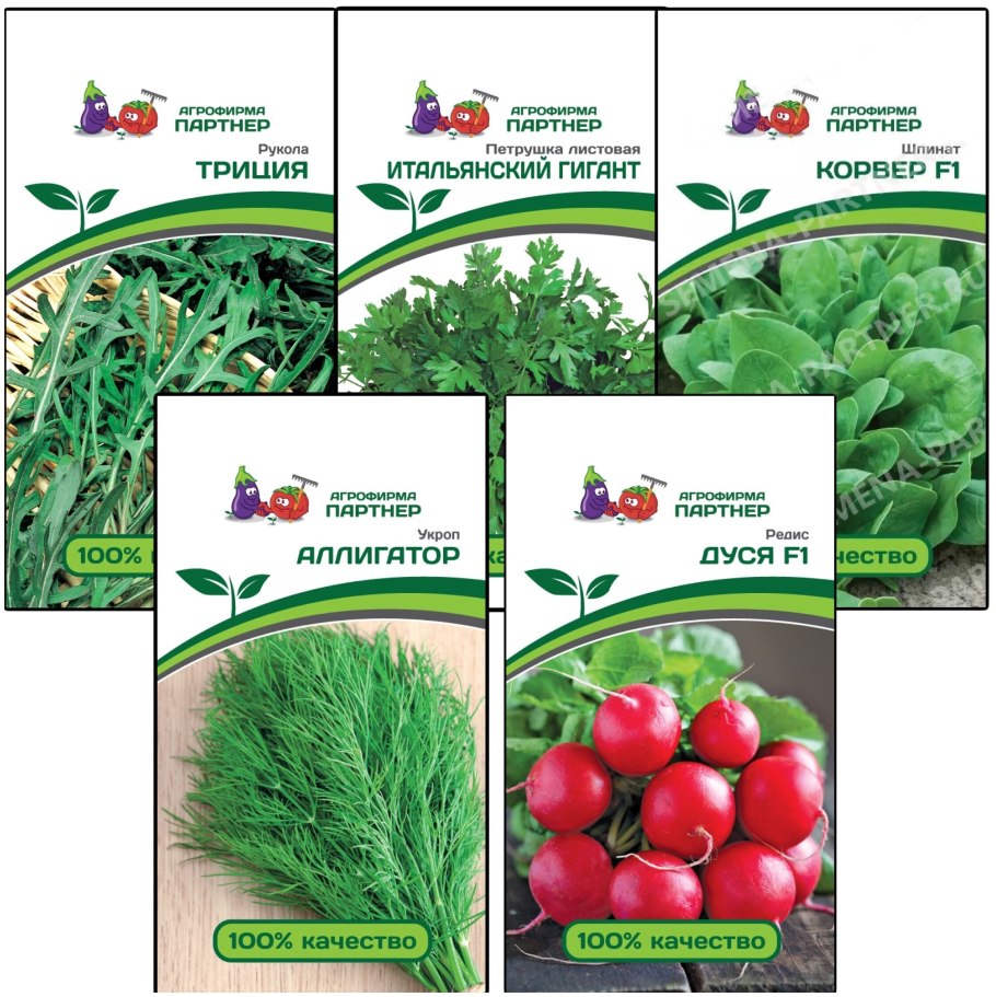 Петрушка листовая универсал