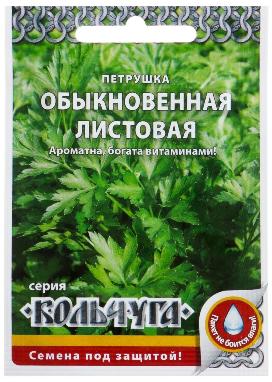 Петрушка корневая Урожайная