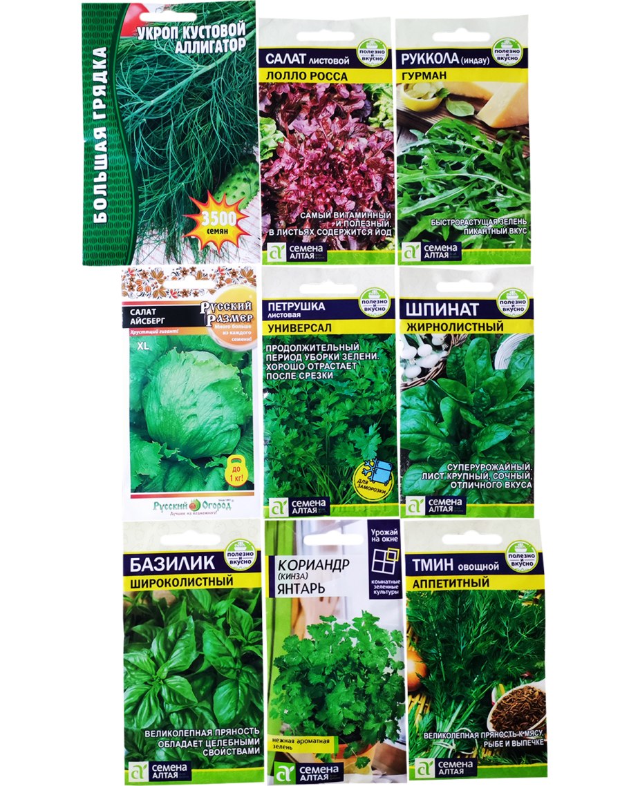 Кервель Измайловский Семко