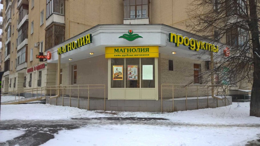 Магнолия магазин фото