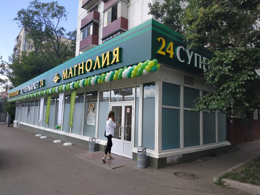 Магнолия куст