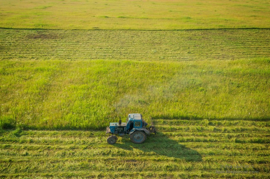 Травосмесь для сенокосно-пастбищного угодья