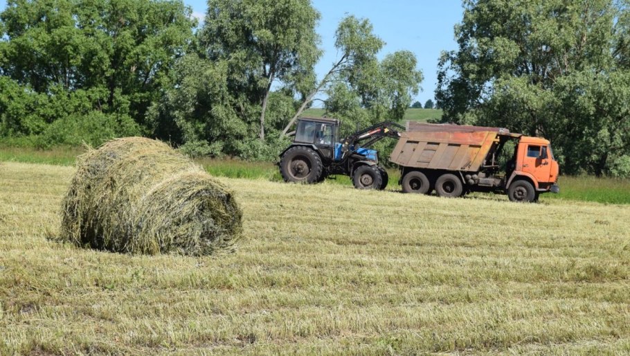 Сенокос в Дубровках 2021