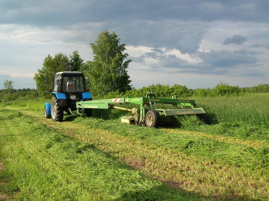 Кормозаготовительная кампания