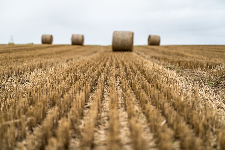 Поле с тюками сена
