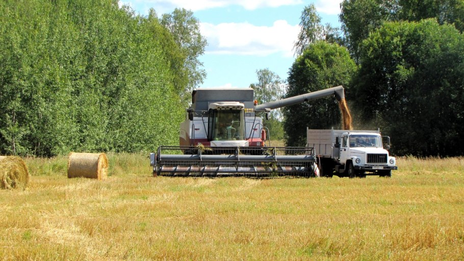 Газоны уборка пшеницы