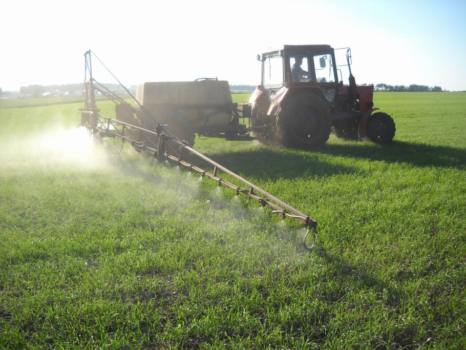 Опрыскивание пшеницы
