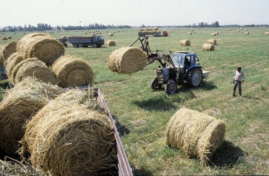 Село сельское хозяйство