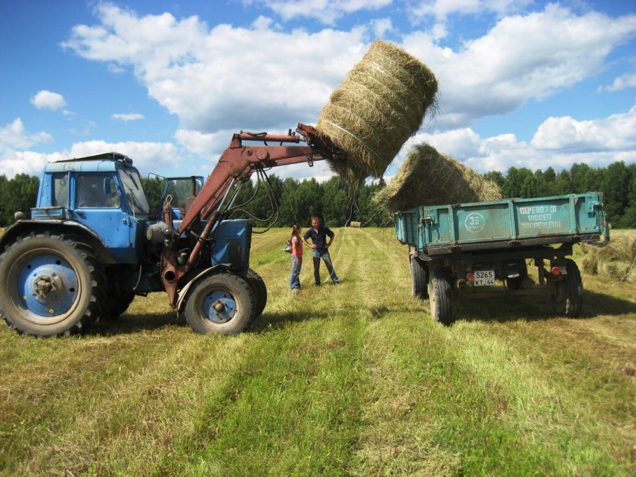 Кормозаготовка силос сенаж
