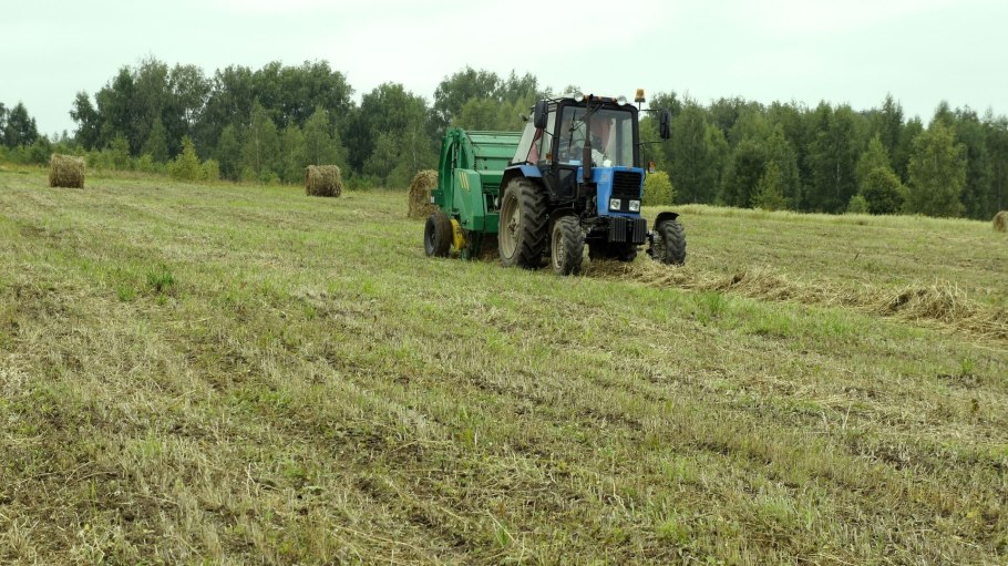 Посев многолетних трав