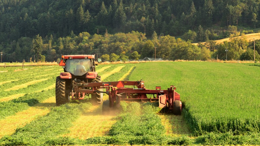 Сельское и Лесное хозяйство в России