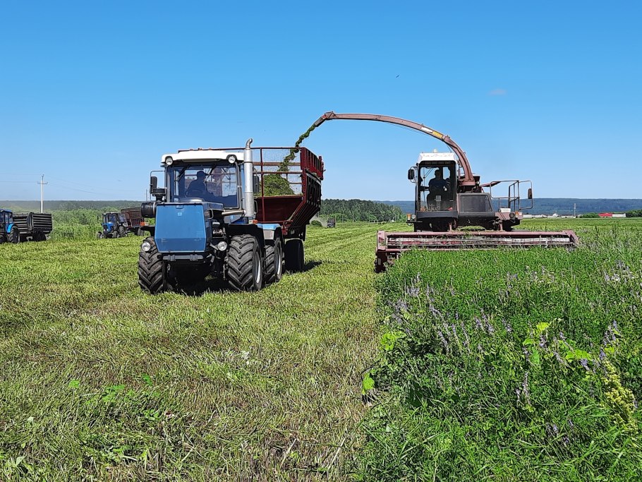 Заготовка силоса 2020