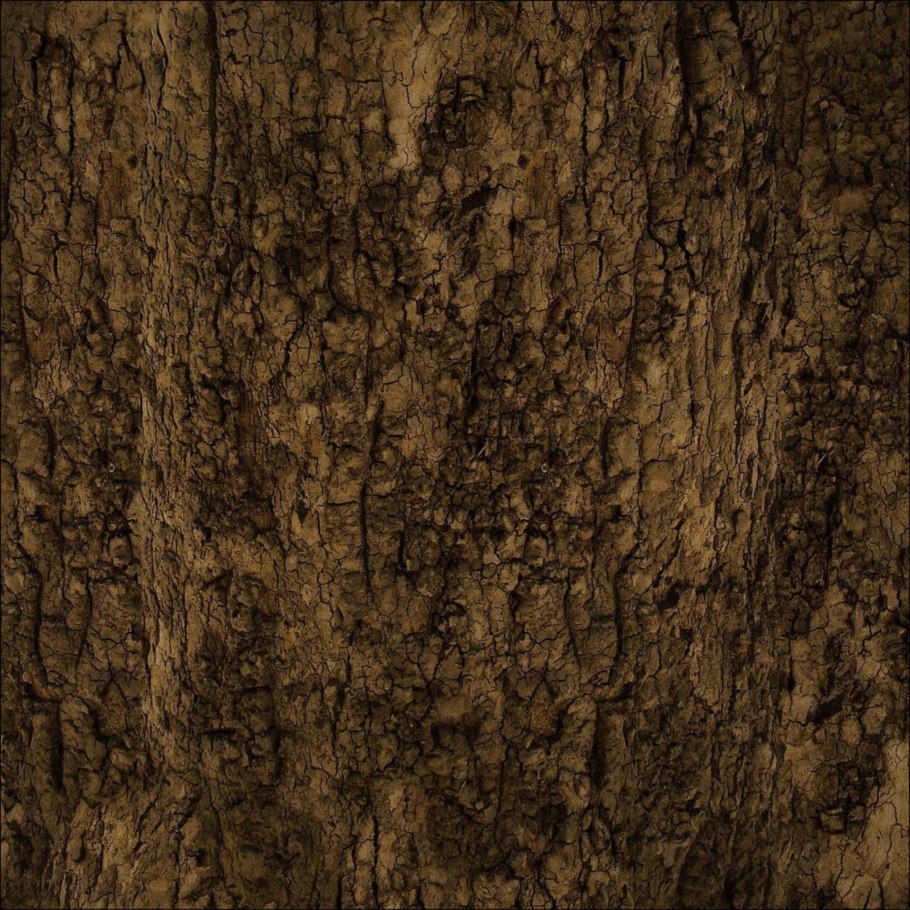 Bark texture бесшовная