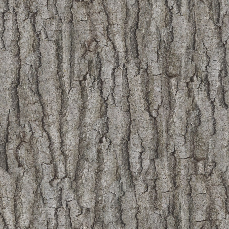 Bark texture бесшовная