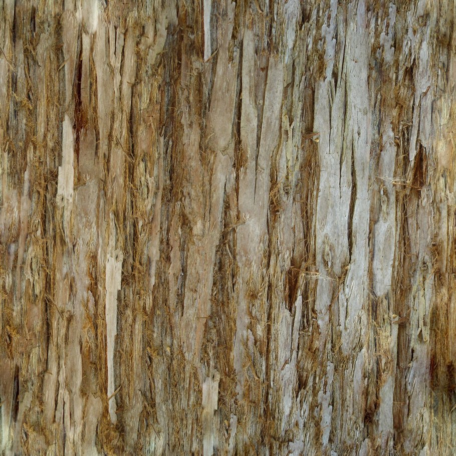 Текстура дерева бесшовная