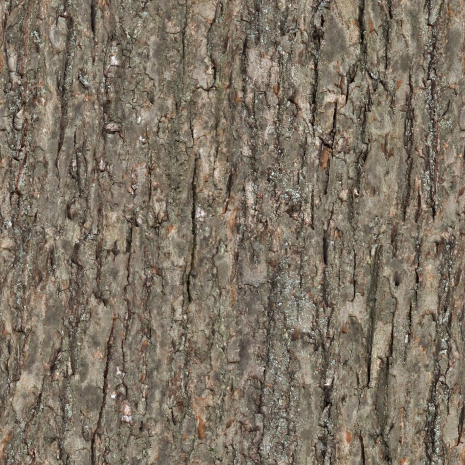 Bark seamless