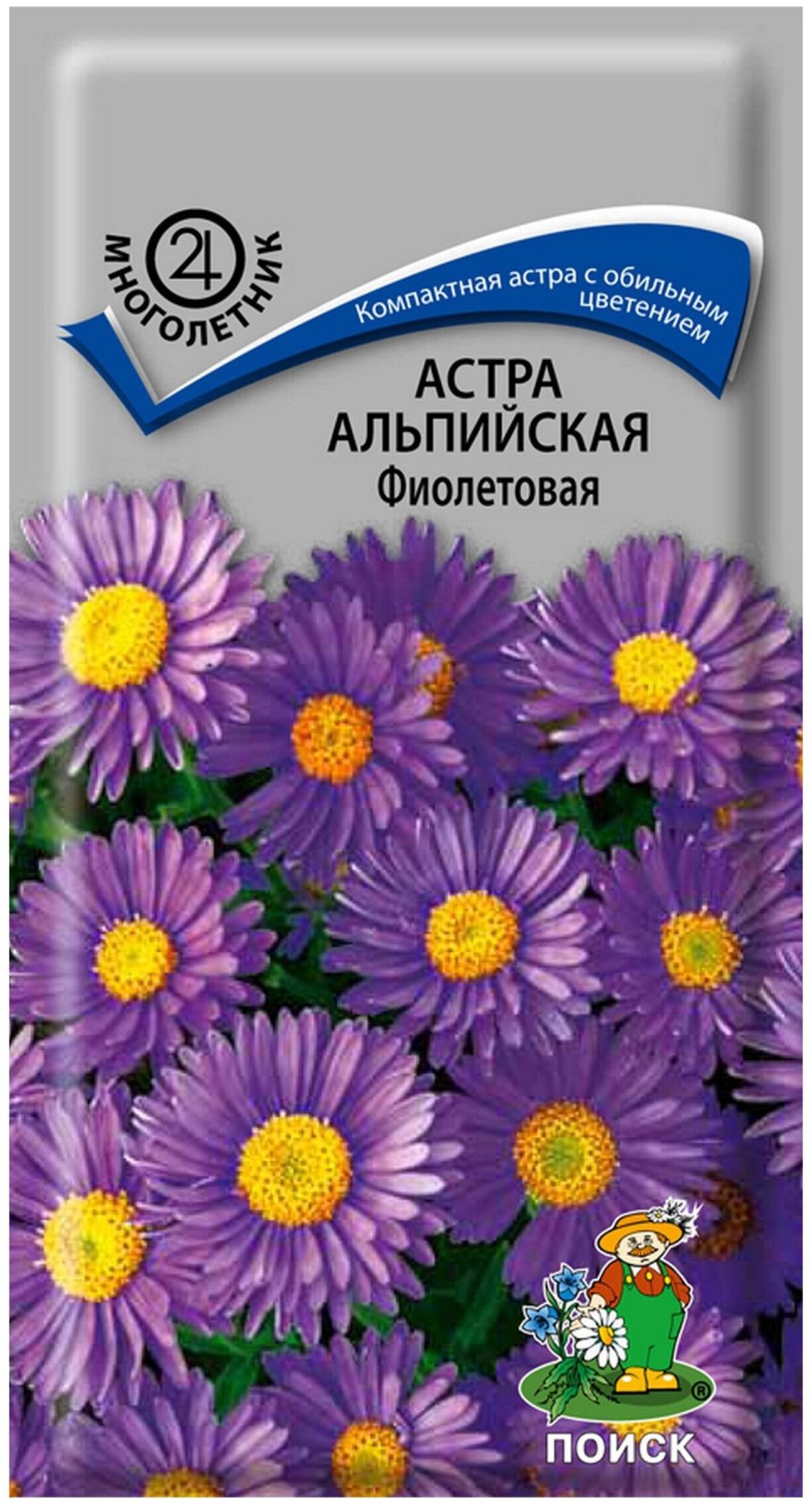 Астра Альпийская Розеа