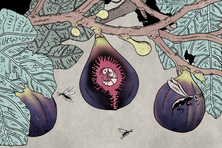 Дерево монстр донт старв