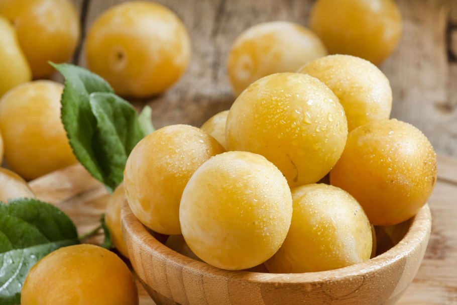 Слива алыча желтая