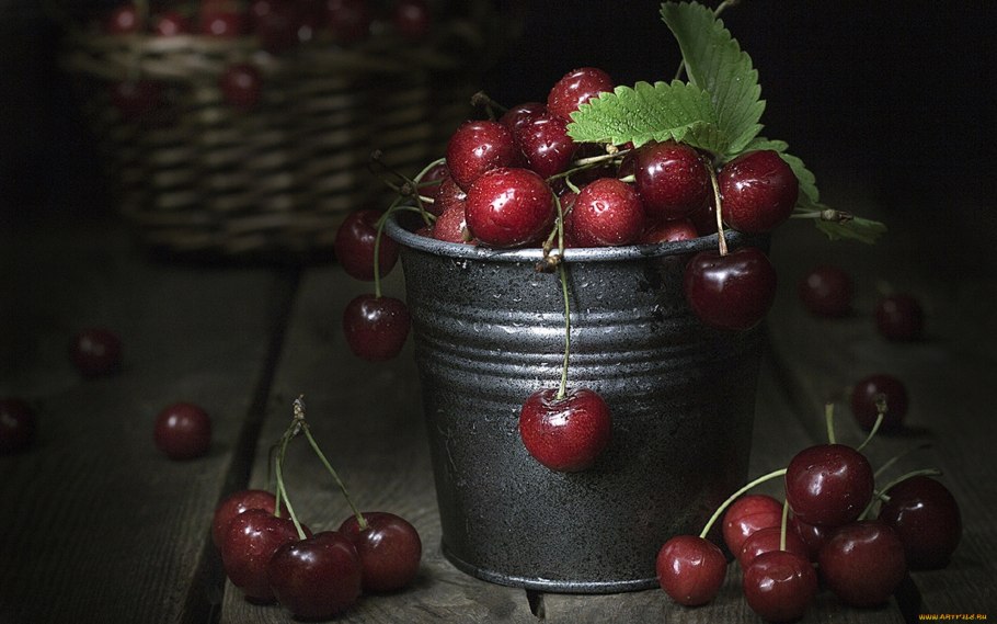 Смородина белая Беляна