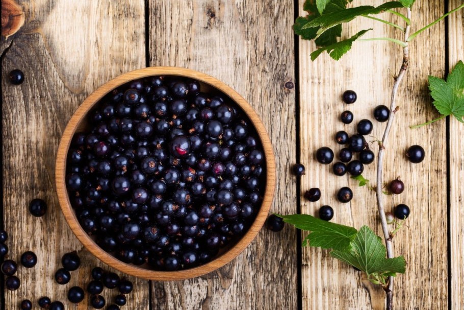 Прозрачная смородина белая